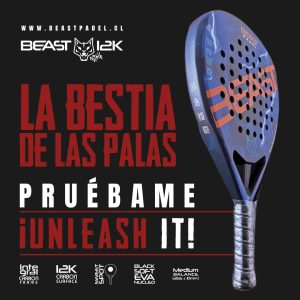Desarrollo Identidad de Marca